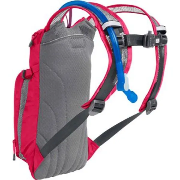 CAMELBAK - Kids' Mini M.U.L.E. 50 oz Hydration Pack