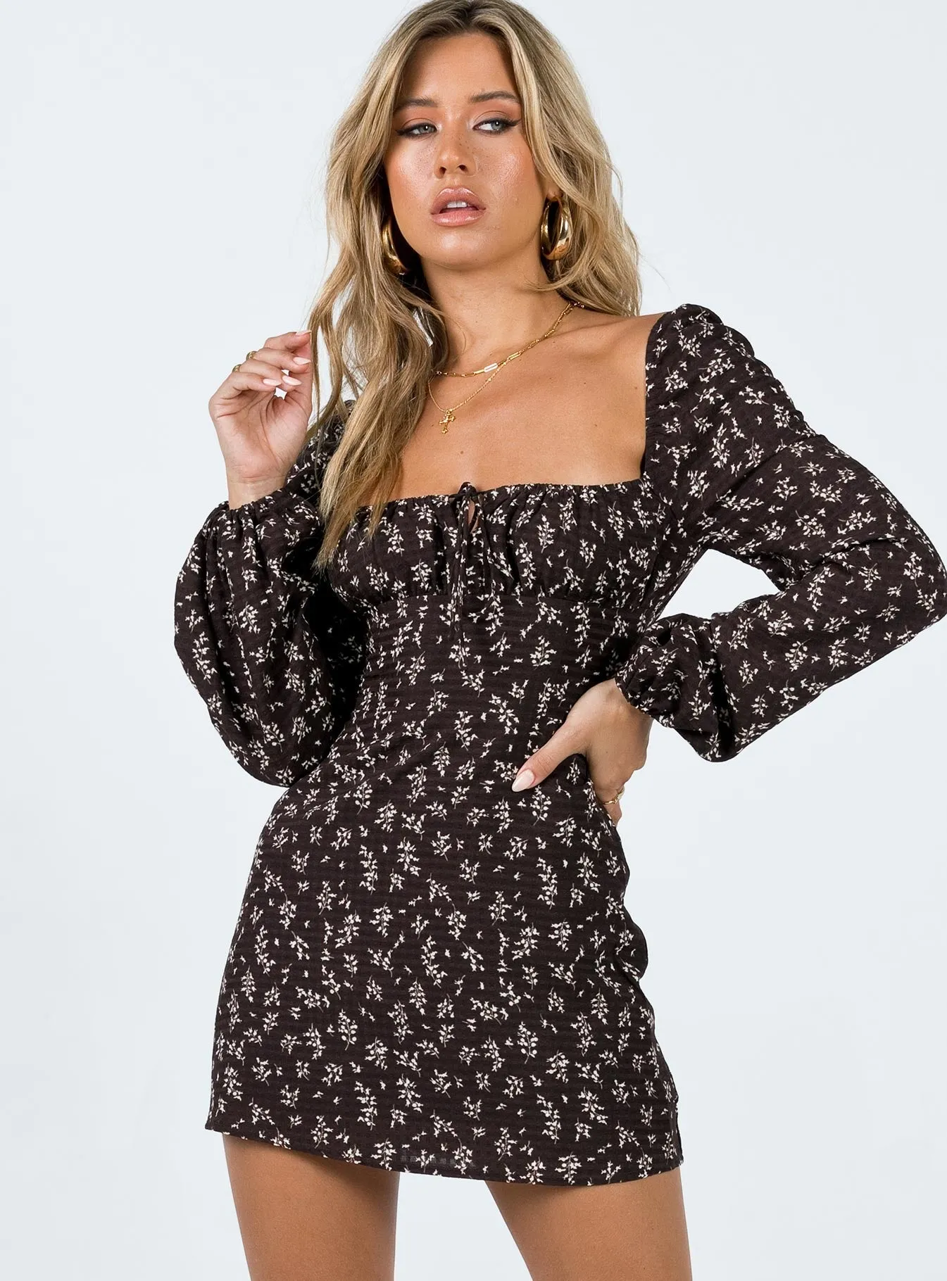 Lyndon Long Sleeve Mini Dress Brown