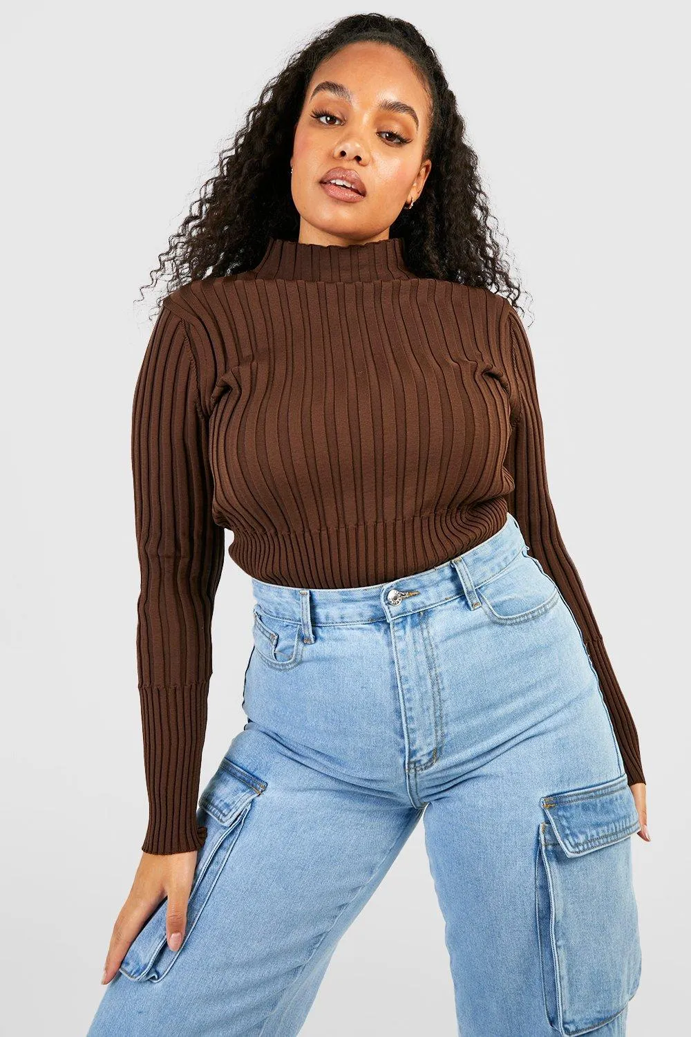 Plus Two Tone Knit High Neck Sweater