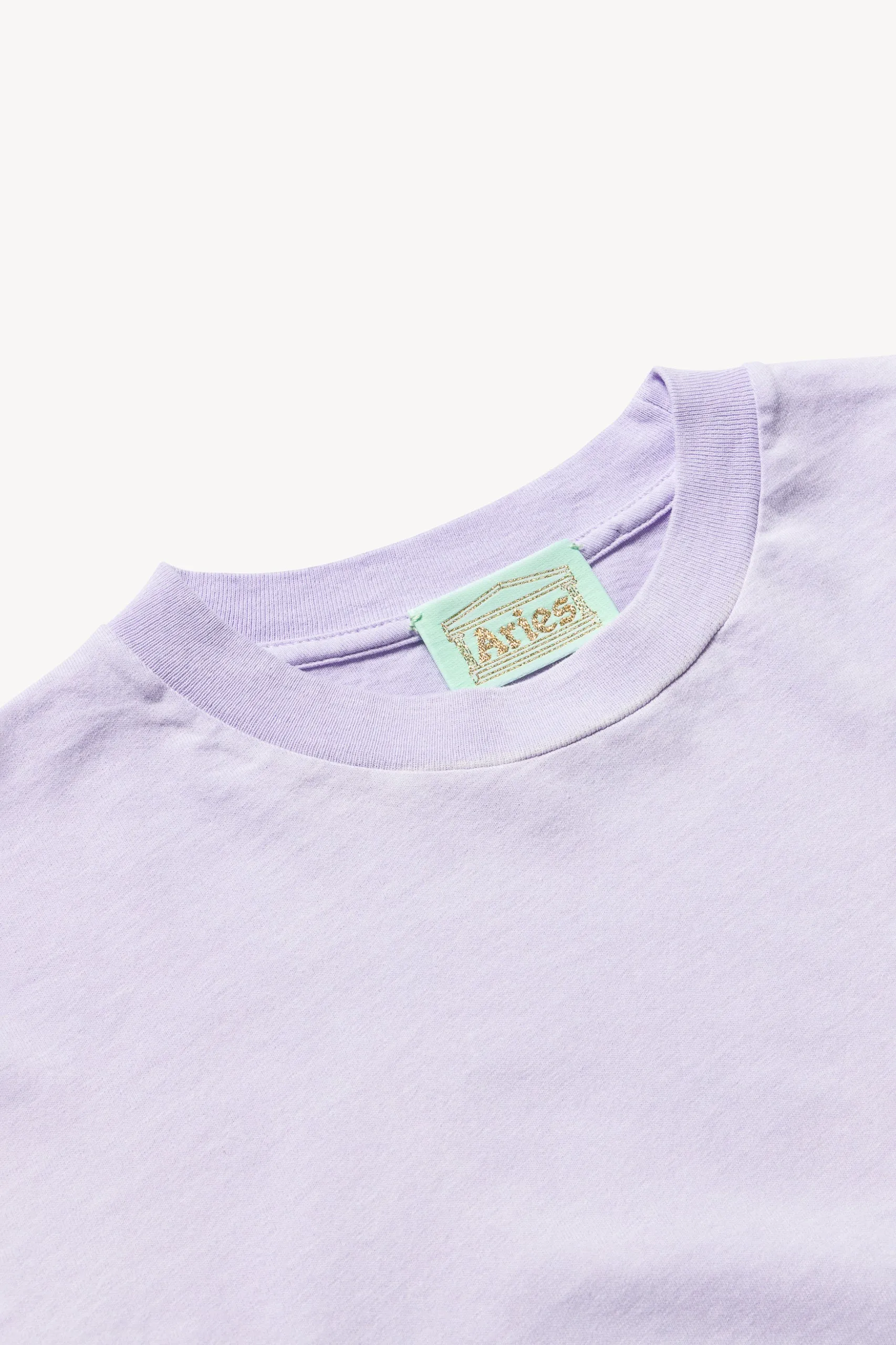 Sunbleached Temple SS Tee