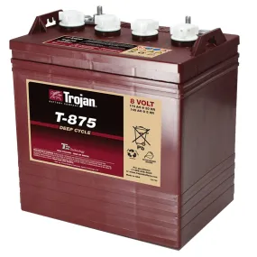 Trojan Batteri T-875, 8V